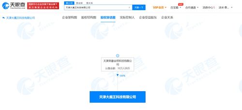 軟件開發 從構思到實現的創新之旅